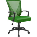 Ergonomic Green Mesh Office Chair With Lumbar Support