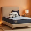 Full Size Hybrid Mattress Box Cooling Memory Foam Technology