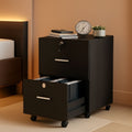 2 Drawer Rolling File Cabinet With Lock For Letter Size Folders Under Desk Black