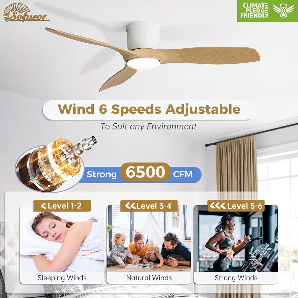 52 Inch Smart Ceiling Fan With Lights Remote App Control