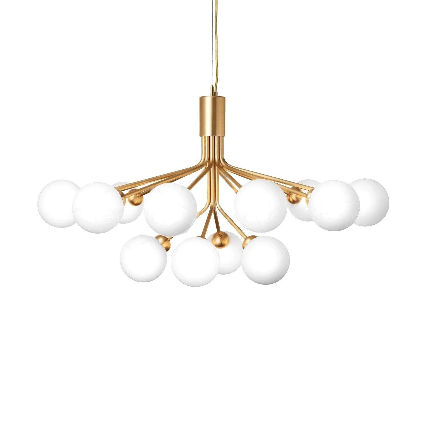 Apiales Chandelier