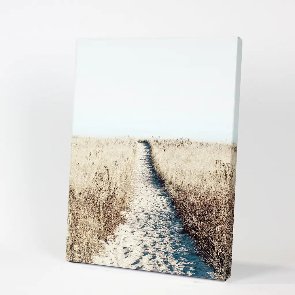 Calm Beach Wall Art Print. Sand Dunes, Dried Grass