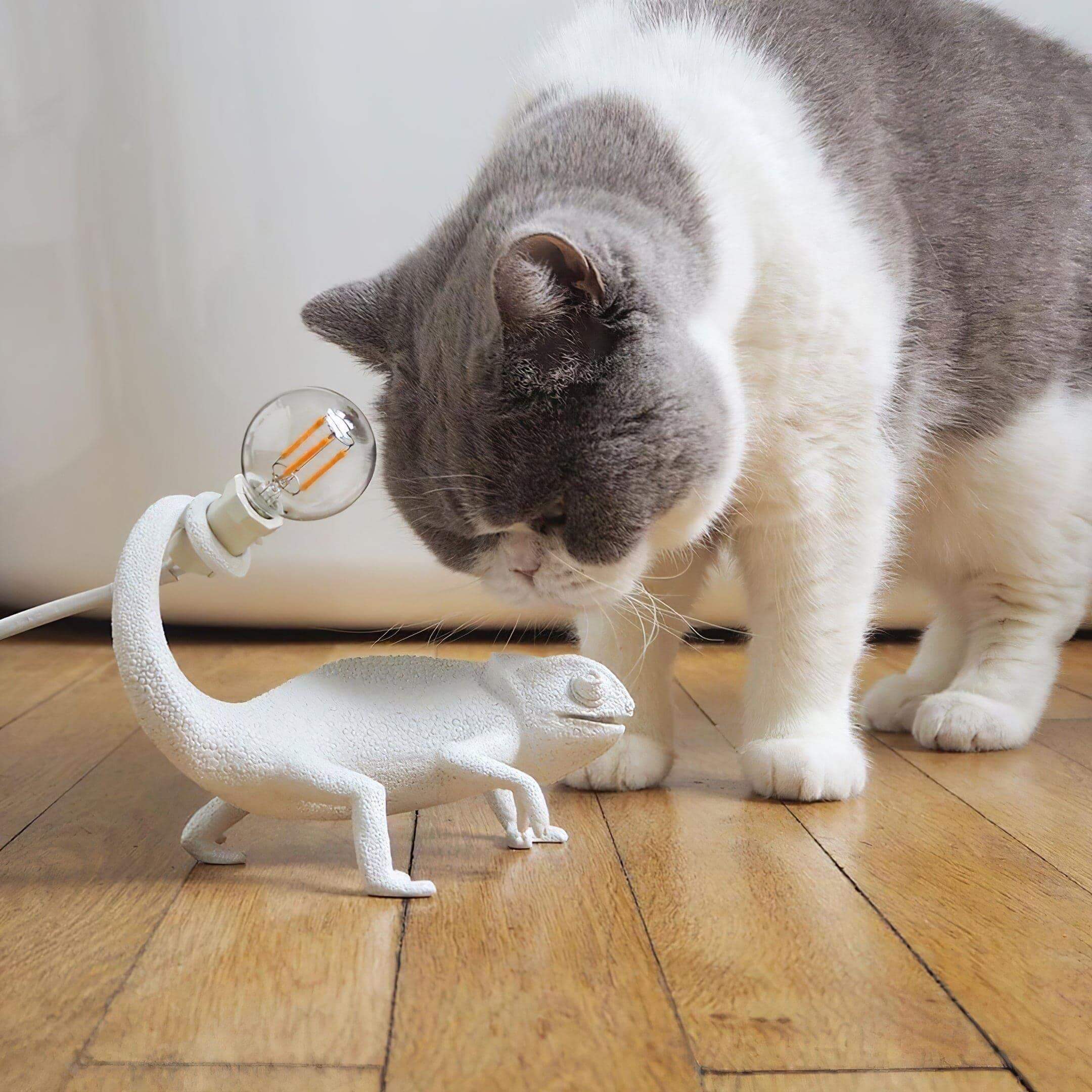 Chameleon Table Lamp