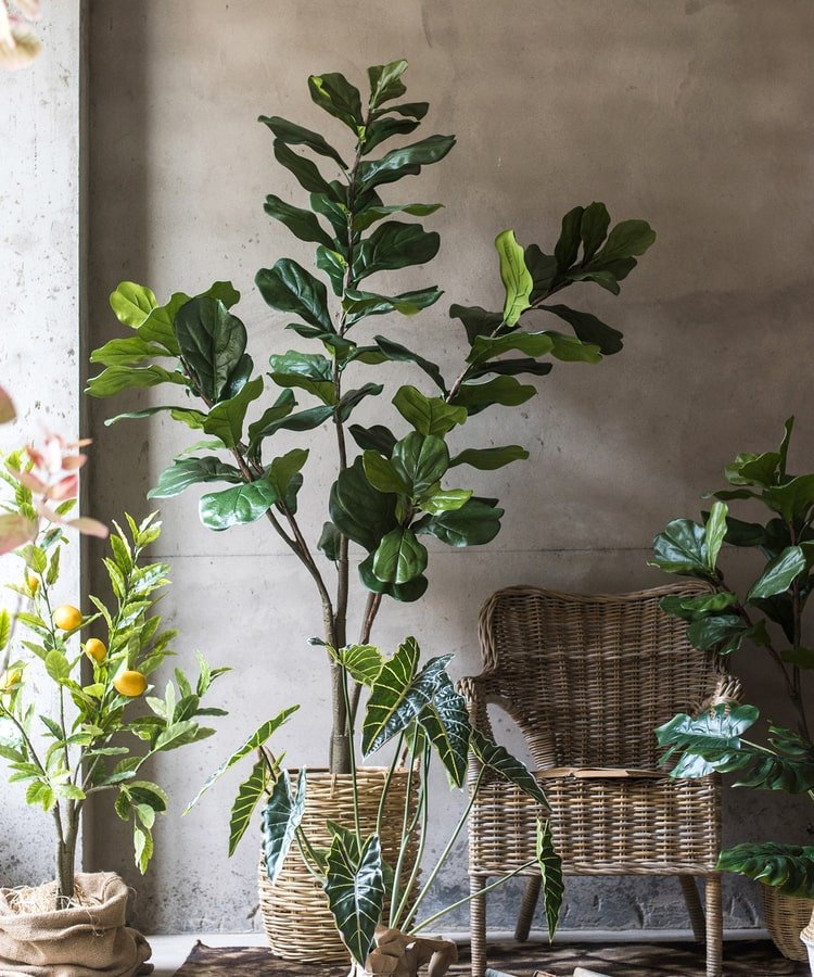 Artificial Tree Fiddle Leaf Tree In Pot