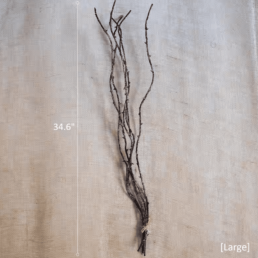 Ikebana Twig Branch