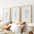 Botanical Line Art Set of 3 Pieces. Pastel Blue Flowers