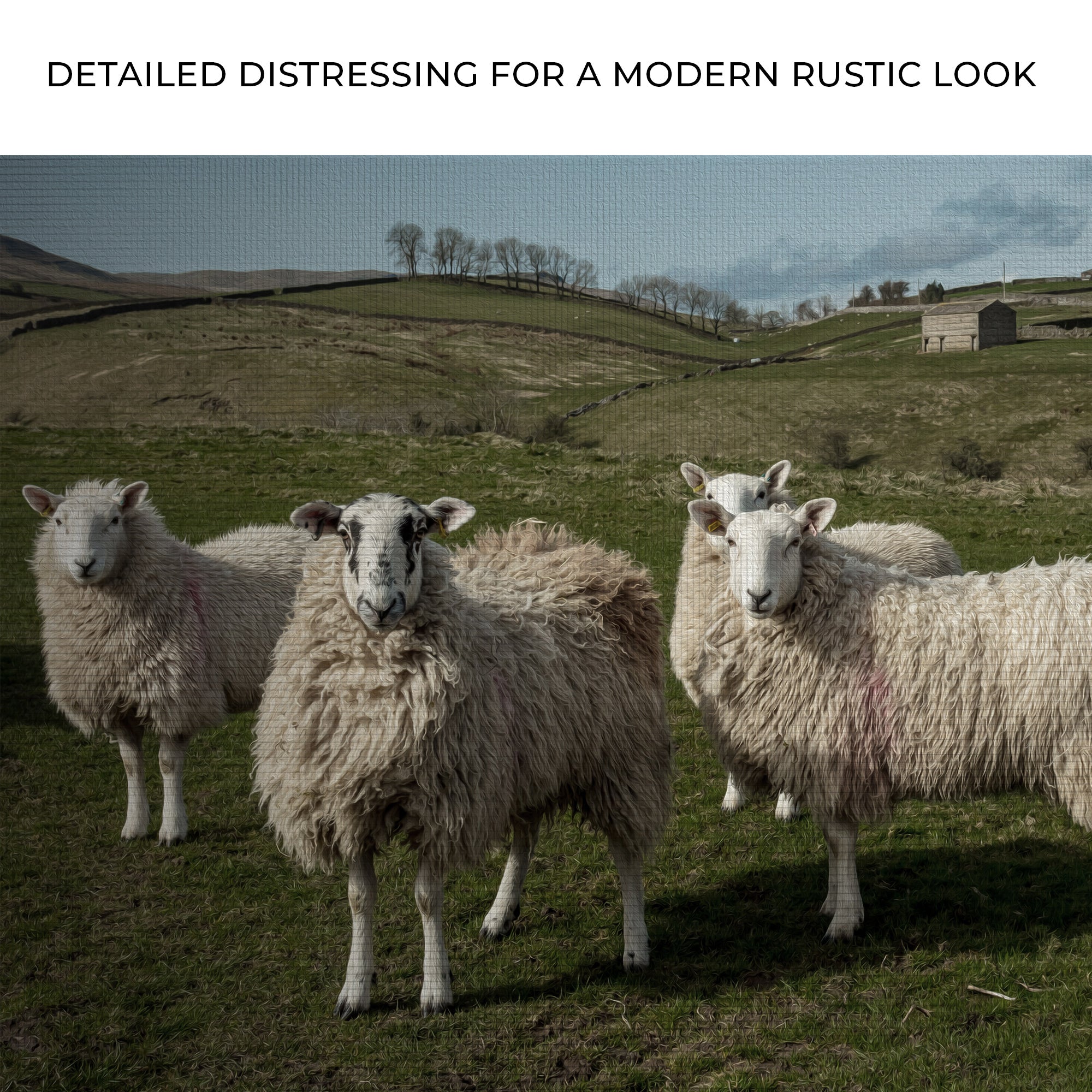 Flock Of Sheep Canvas Wall Art