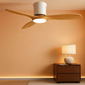 52 Inch Smart Ceiling Fan With Lights Remote App Control