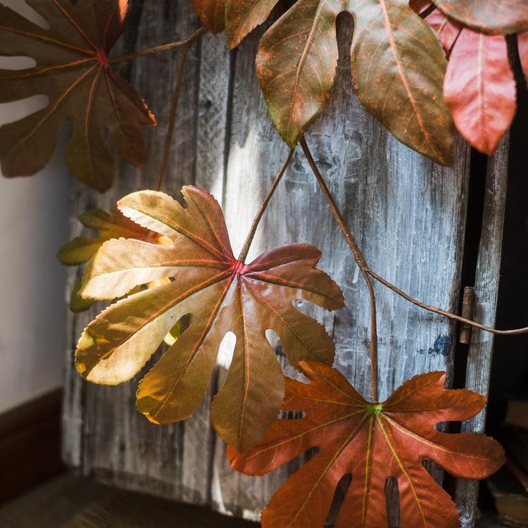 Artificial Fatsia Leaf in Autumn Red 32" Tall Faux