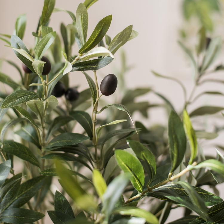 Artificial Fuax Large Olive Stem 41" Tall