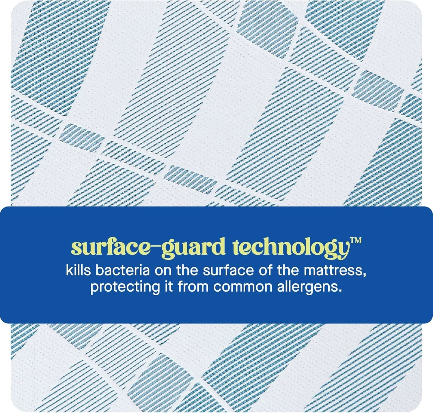 Queen Dreamlife Gel Memory Foam Mattress Surface Guard
