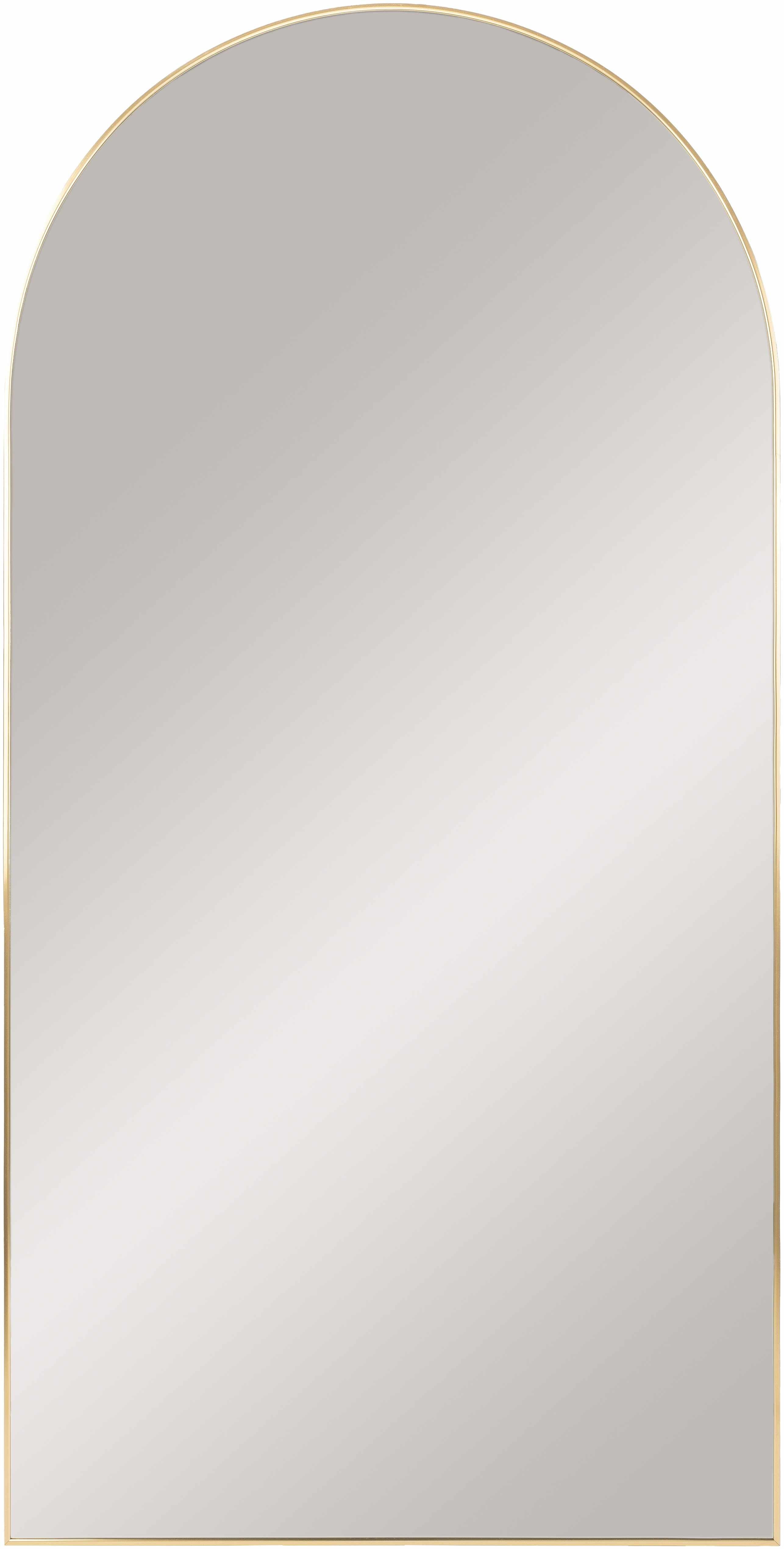 Anipovka Mirror